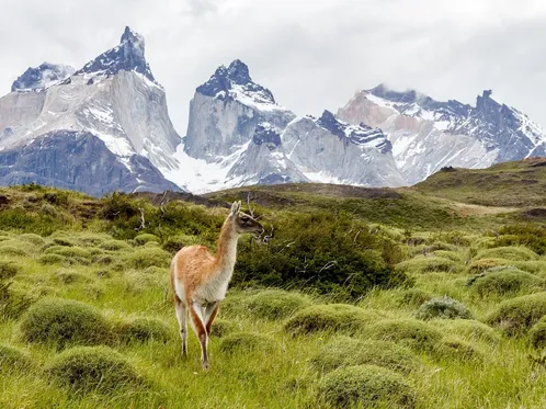 NP Torres del Paine