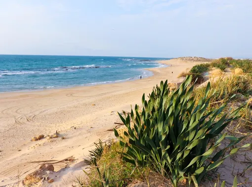 Yummy Wednesdays: Malta without traditional Ftira? No way! Ramla Bay in Malta 510x378 Yummy Wednesdays: Malta without traditional Ftira? No way!