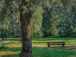 The Bench in the field in Lacnov