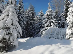 The stunning beauty of High Tatras from Lomnická view - Lomnická výhliadka