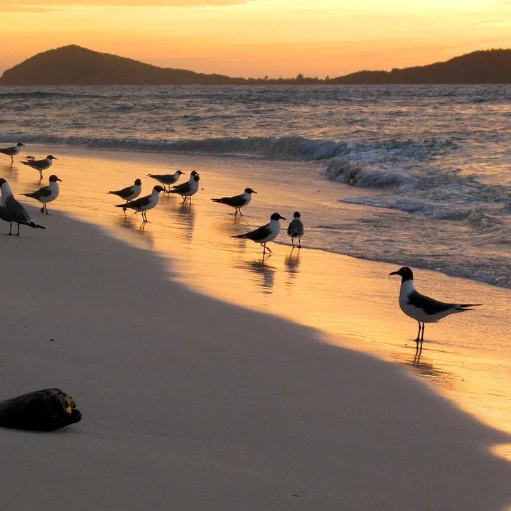 Colorful Caribbean