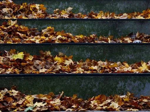 Autumn in Schönbrunn, Vienna