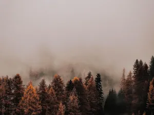 Clouds on the top of hills in High Tatras