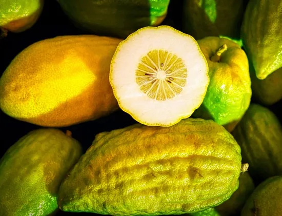 The best food in the world is Sicilian