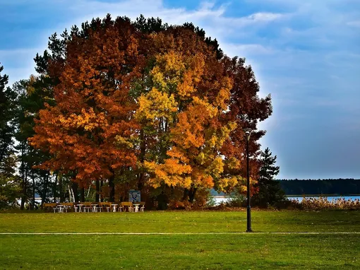 Autumn in Schönbrunn, Vienna 