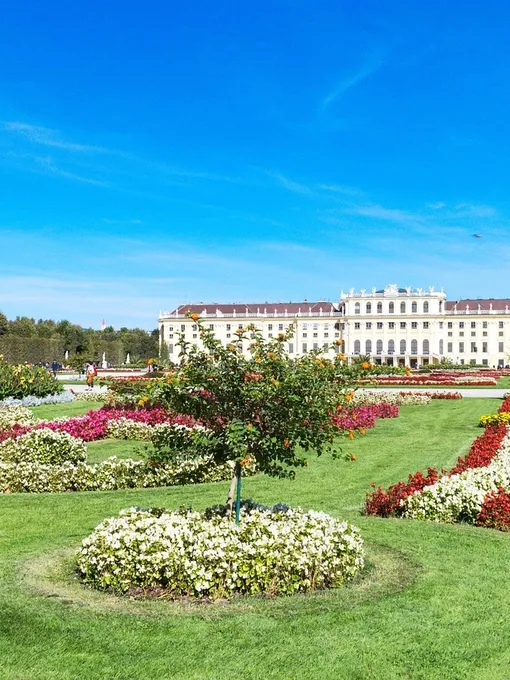 Autumn in Schönbrunn, Vienna 