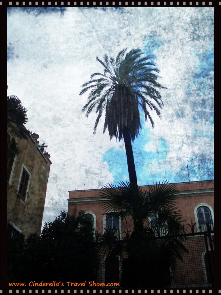 The Palm in Rome, Italy