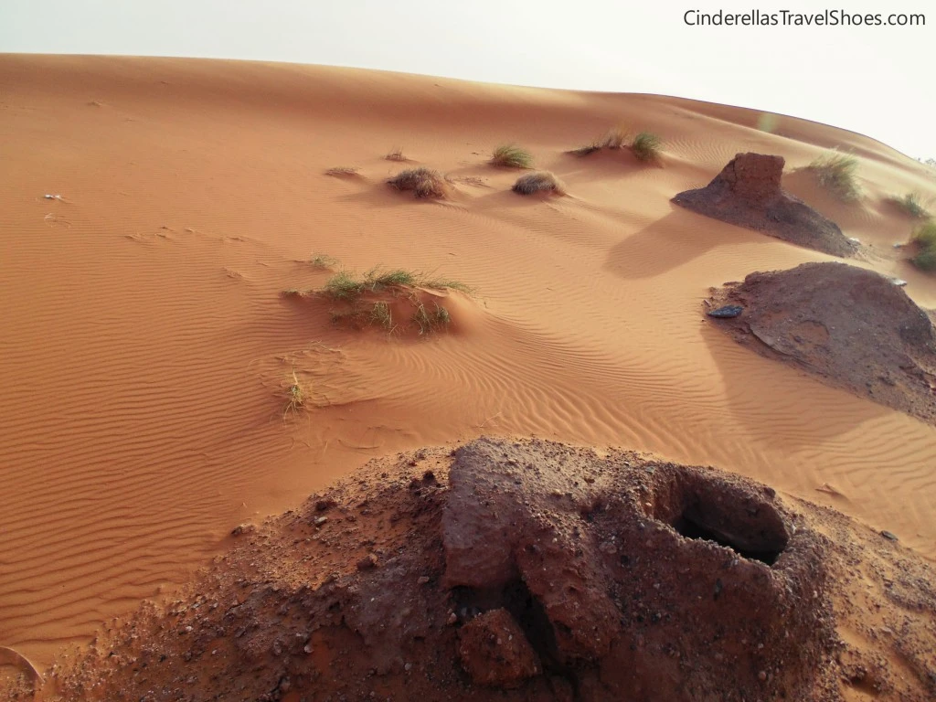 Oasis in Sahara desert in Morocco