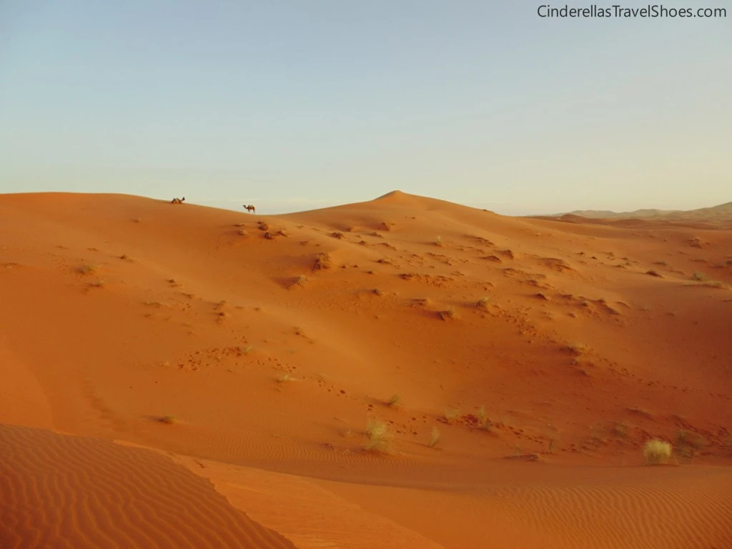 Sahara desert after sunrise
