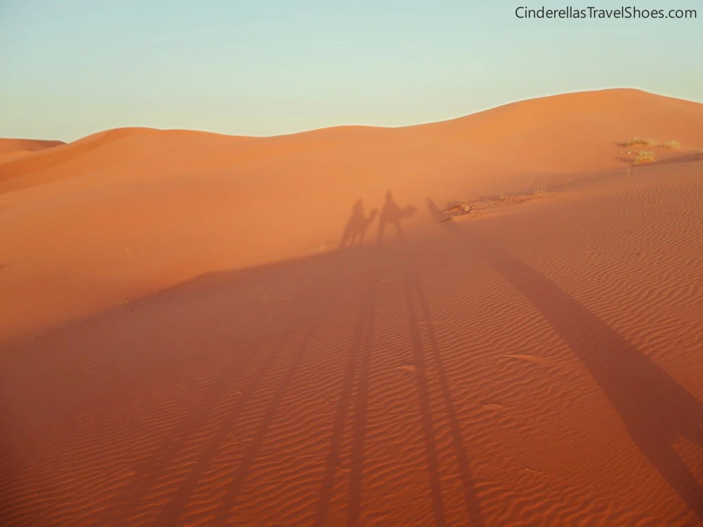 We in Camel Caravan in Sahara Desert, Morocco