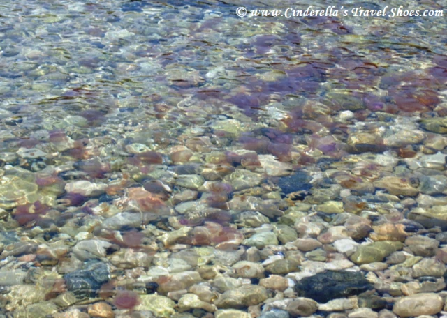 Be aware of jellyfishes in Isola Bella