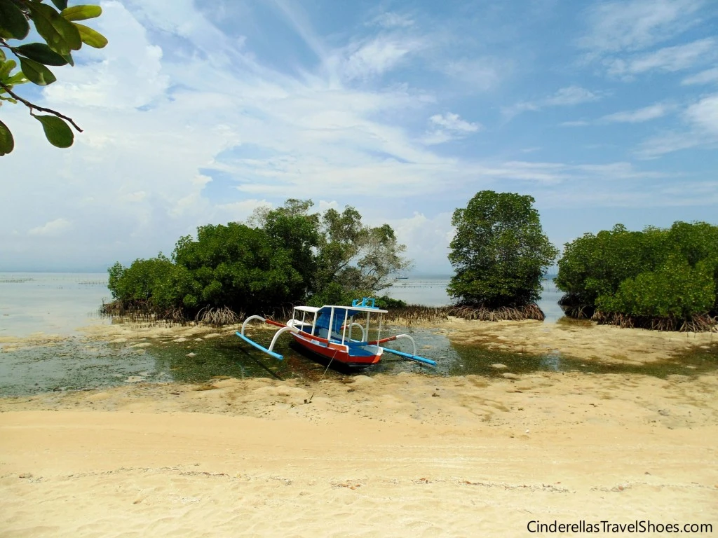 Fishing boat in a kelp farm in Lembongan