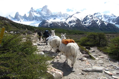 The 5W's & HOW Interview: Patagonia tips The 5W's & HOW Interview: Patagonia tips