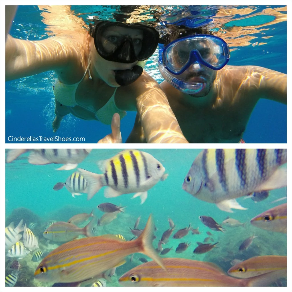 Amazing underwater world in Caribbean