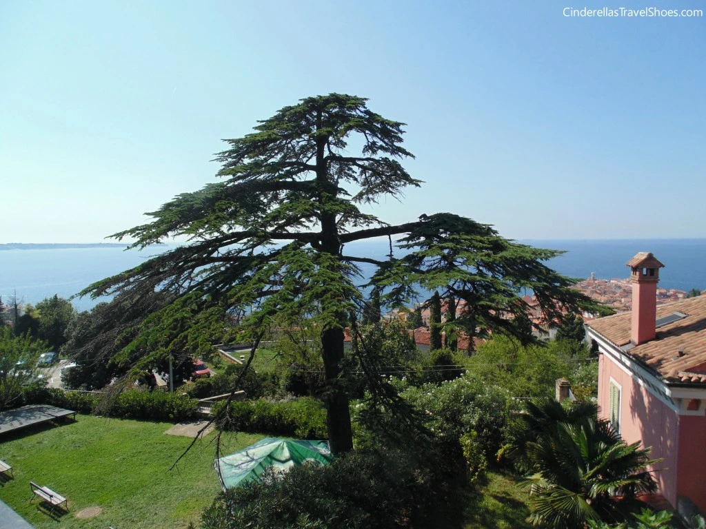 Piran in Slovenia_view (4)