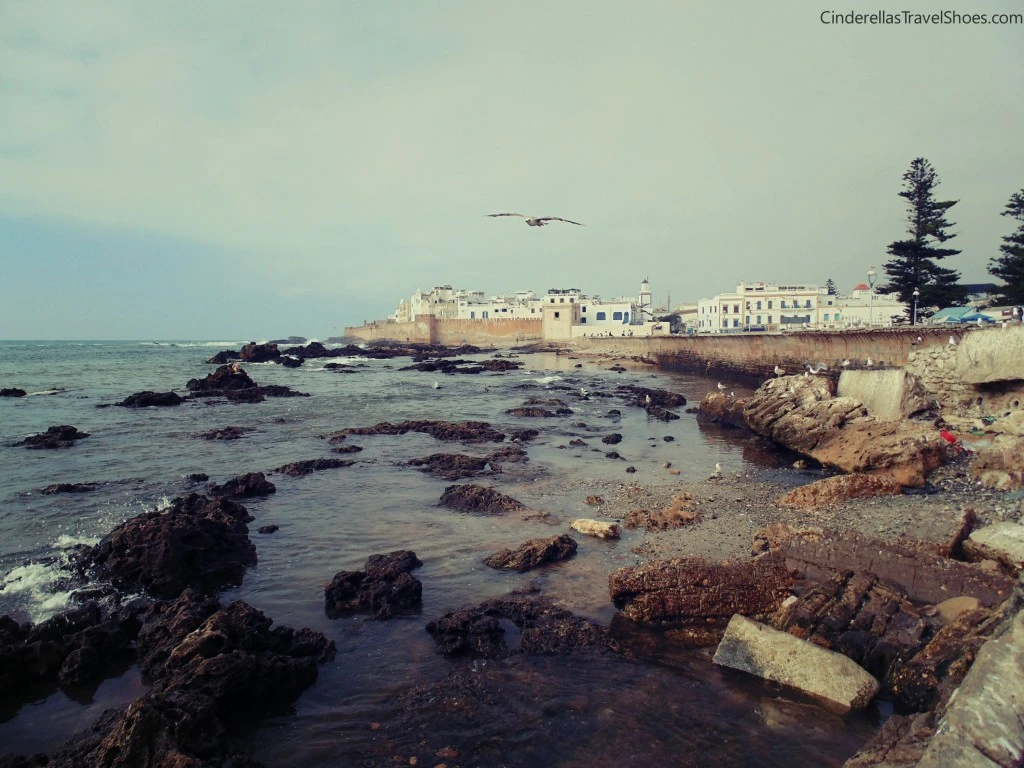 Essaouira_beach (13)