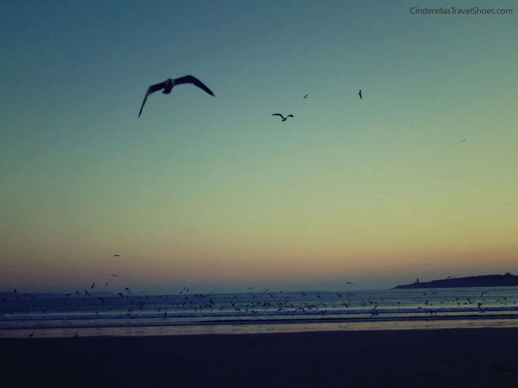 Essaouira_beach (7)