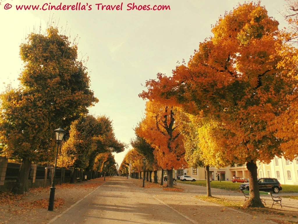 Autumm in Vienna
