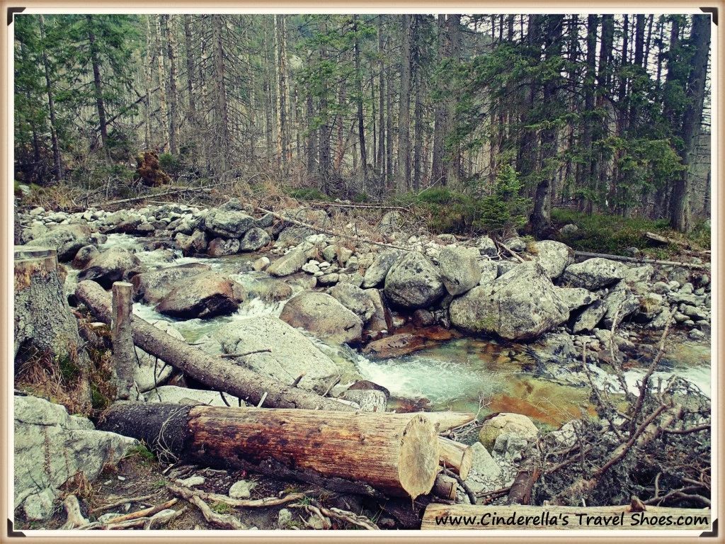 Cold Creek Waterfalls - Vodopád Studeného Potoka