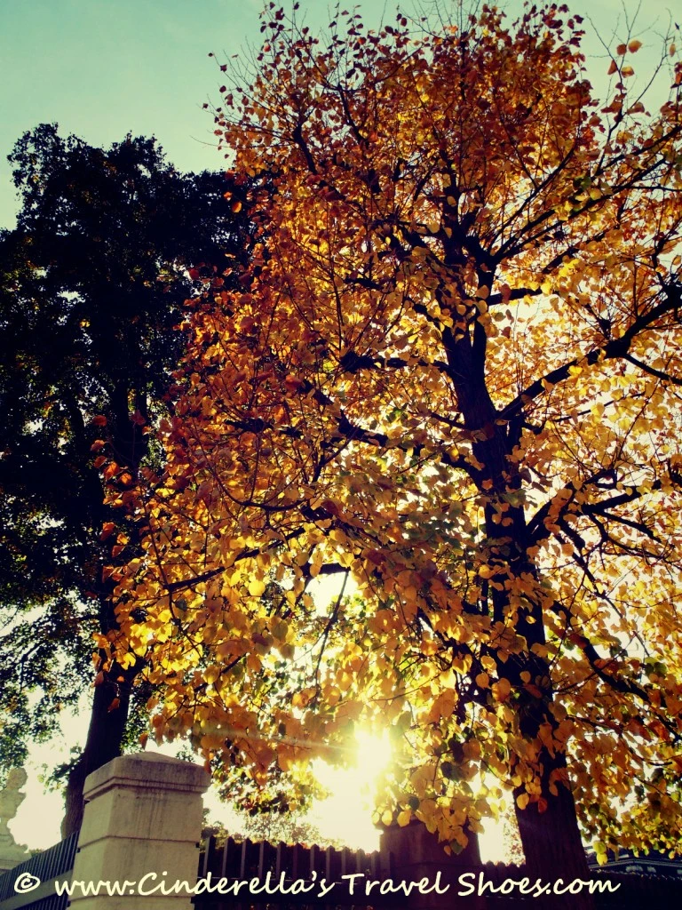Schonbrunn, Vienna 13