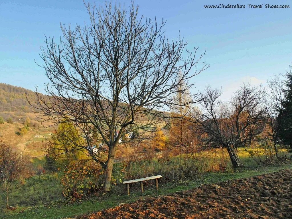 The Bench in the field in Lacnov