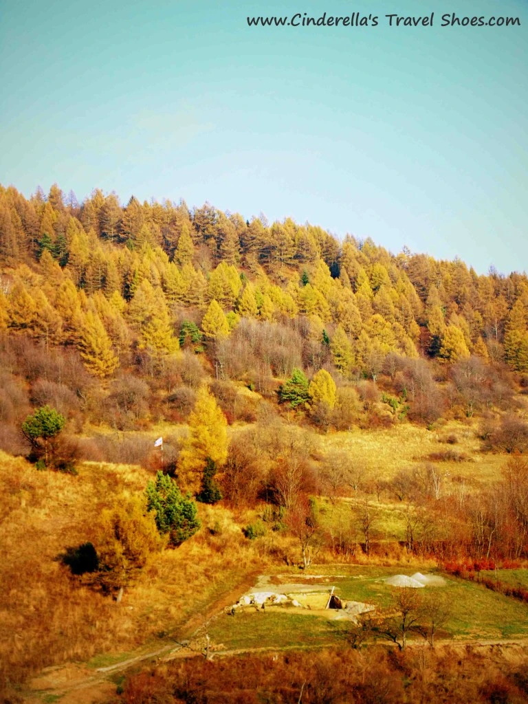 The Wood around Lacnov
