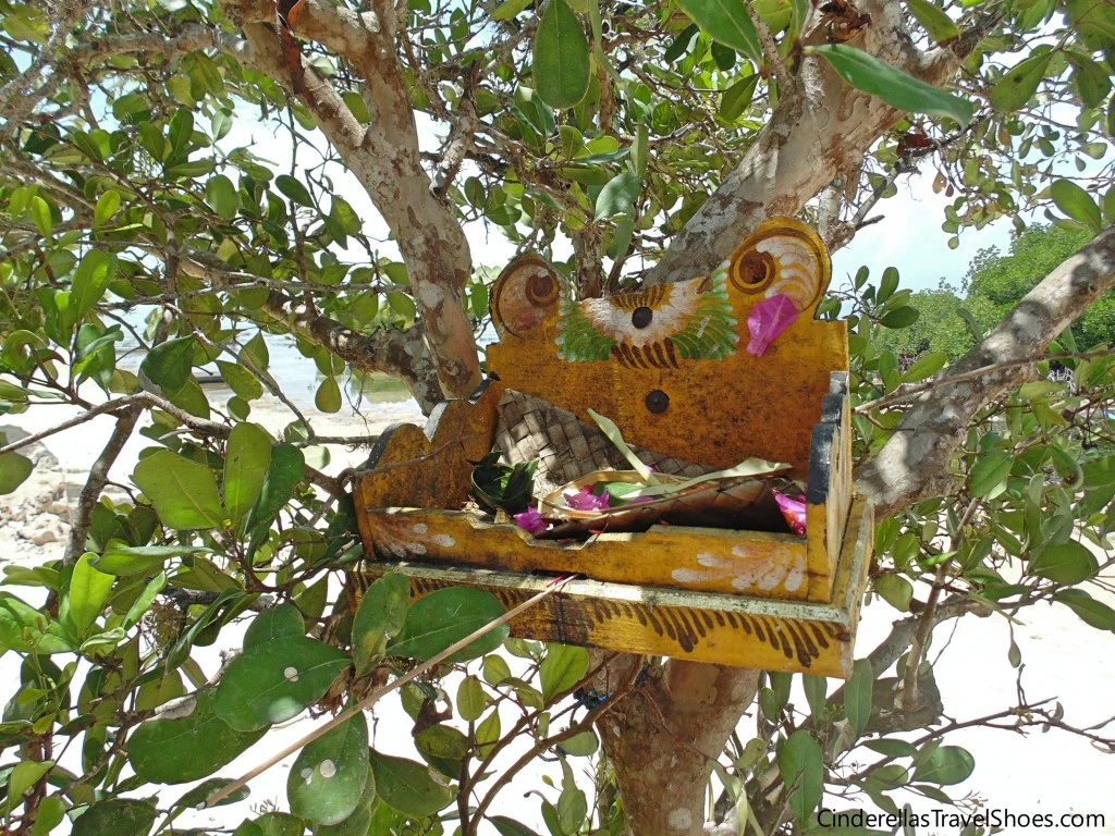 Ostrovy Lembongan a Ceningan